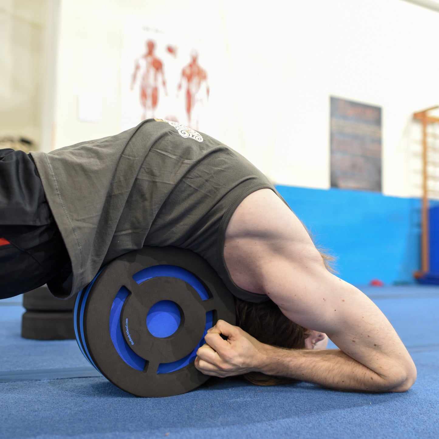 12" BodyWheel Purple Black